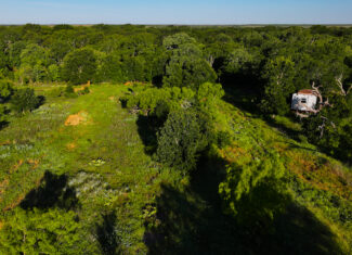 Gorgeous 355 acres of Hunting and Ranch Land in Archer County TX