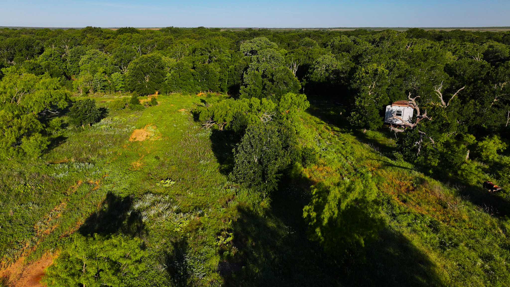 Gorgeous 355 acres of Hunting and Ranch Land in Archer County TX