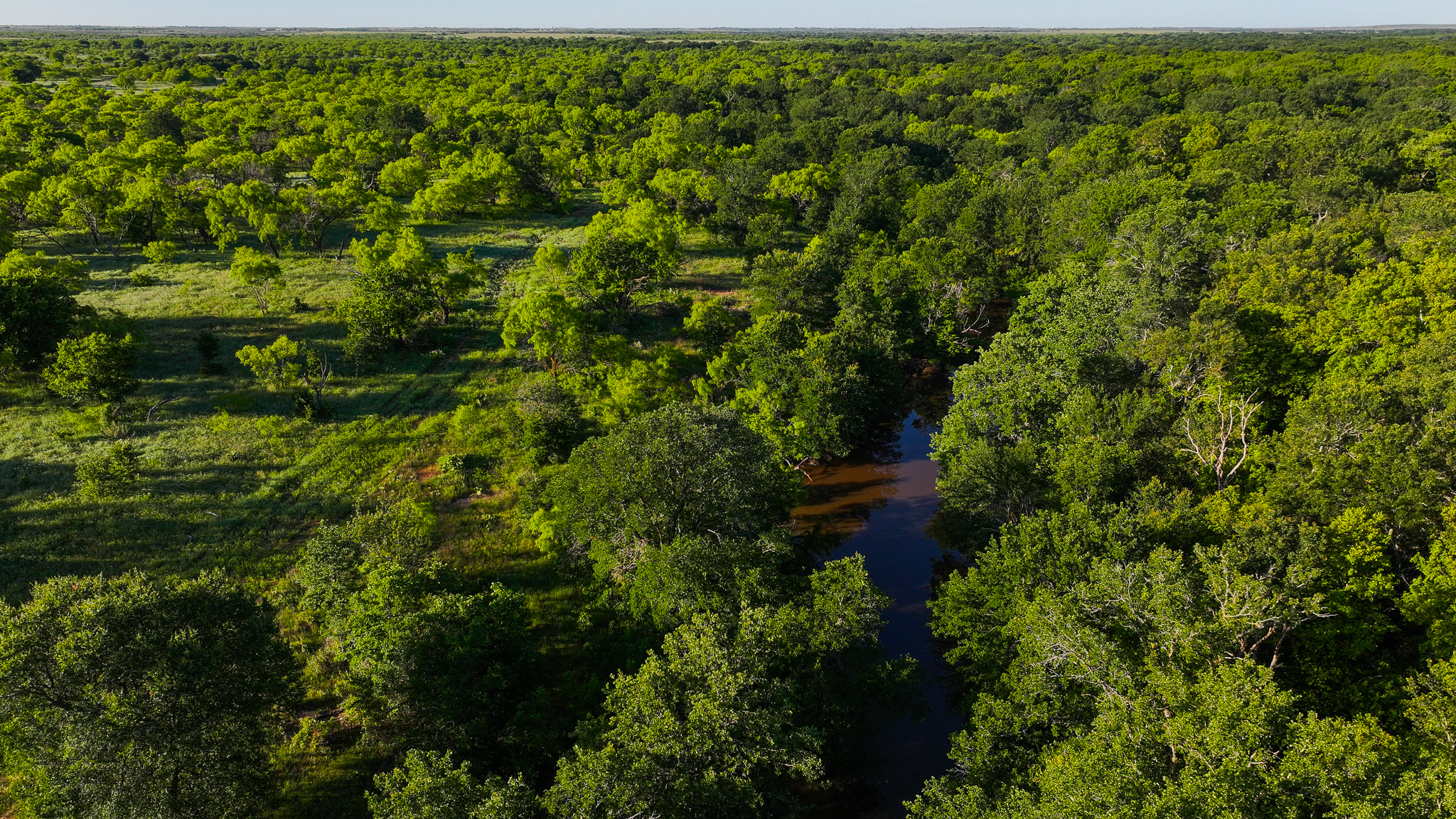 Gorgeous 355 acres of Hunting and Ranch Land in Archer County TX