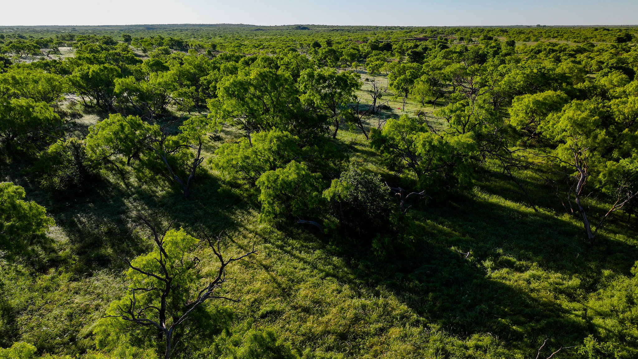 Gorgeous 355 acres of Hunting and Ranch Land in Archer County TX