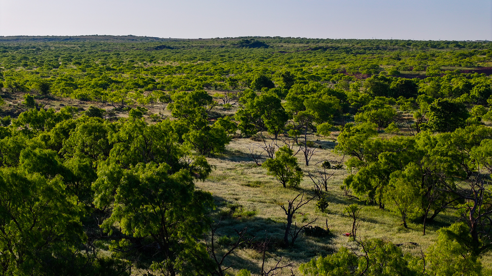 Gorgeous 355 acres of Hunting and Ranch Land in Archer County TX