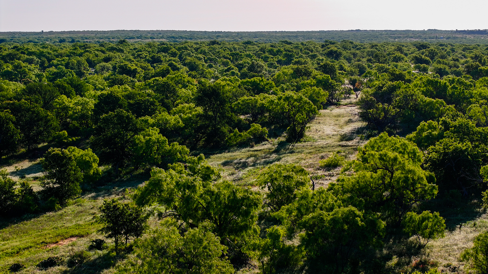 Gorgeous 355 acres of Hunting and Ranch Land in Archer County TX