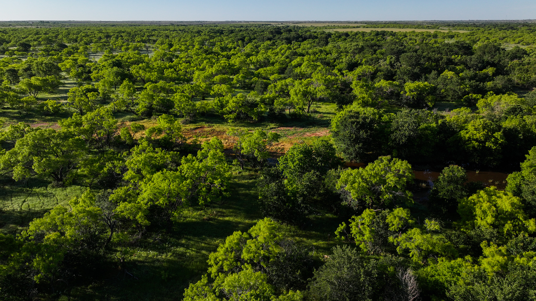 Gorgeous 355 acres of Hunting and Ranch Land in Archer County TX
