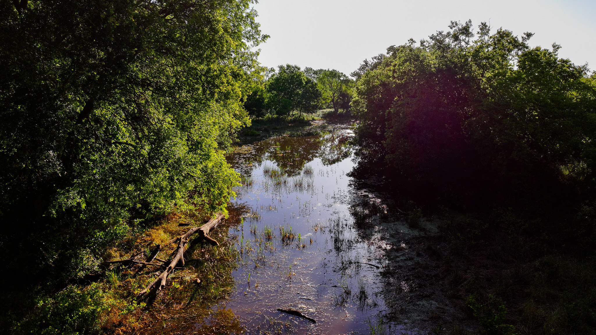 Gorgeous 355 acres of Hunting and Ranch Land in Archer County TX