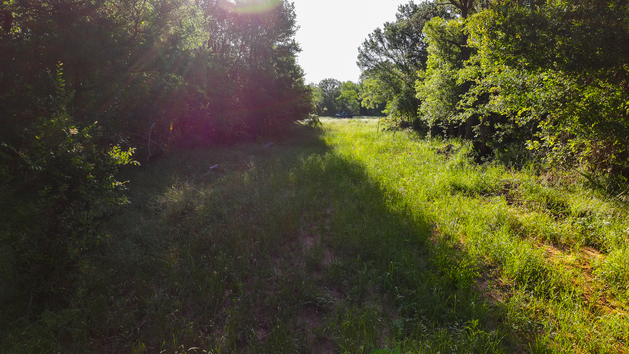Gorgeous 355 acres of Hunting and Ranch Land in Archer County TX