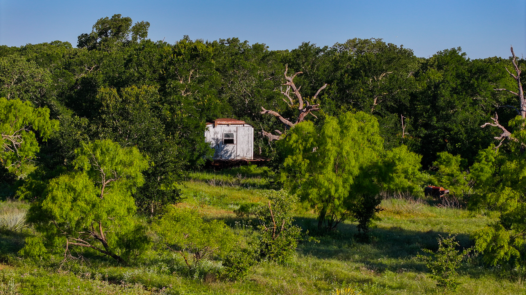 Gorgeous 355 acres of Hunting and Ranch Land in Archer County TX