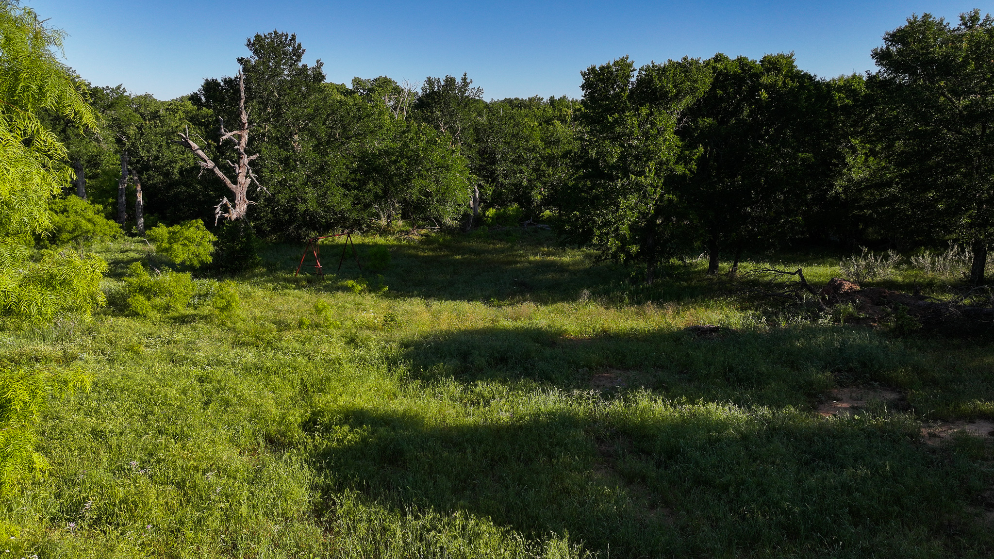 Gorgeous 355 acres of Hunting and Ranch Land in Archer County TX