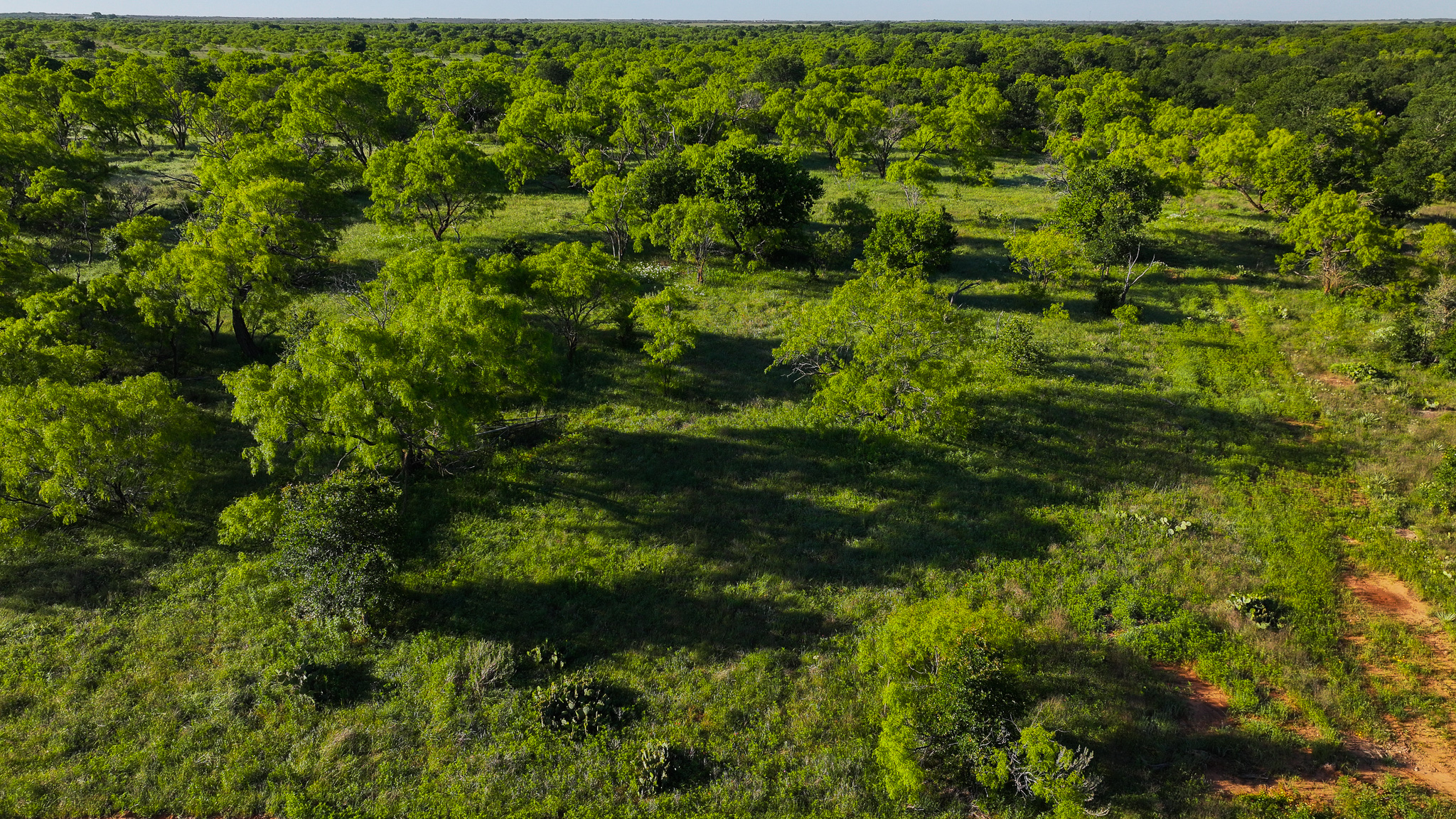 Gorgeous 355 acres of Hunting and Ranch Land in Archer County TX