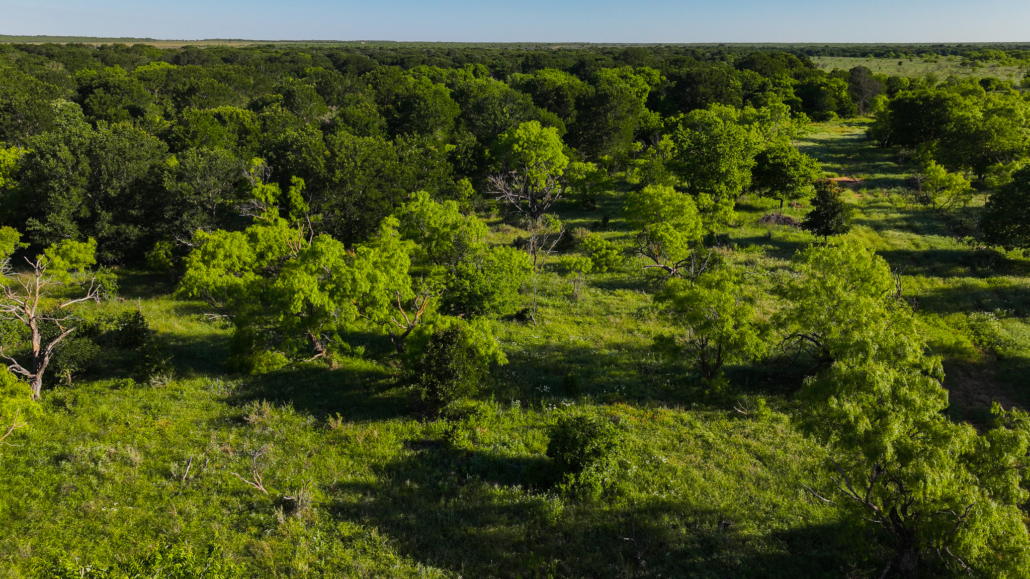 Gorgeous 355 acres of Hunting and Ranch Land in Archer County TX