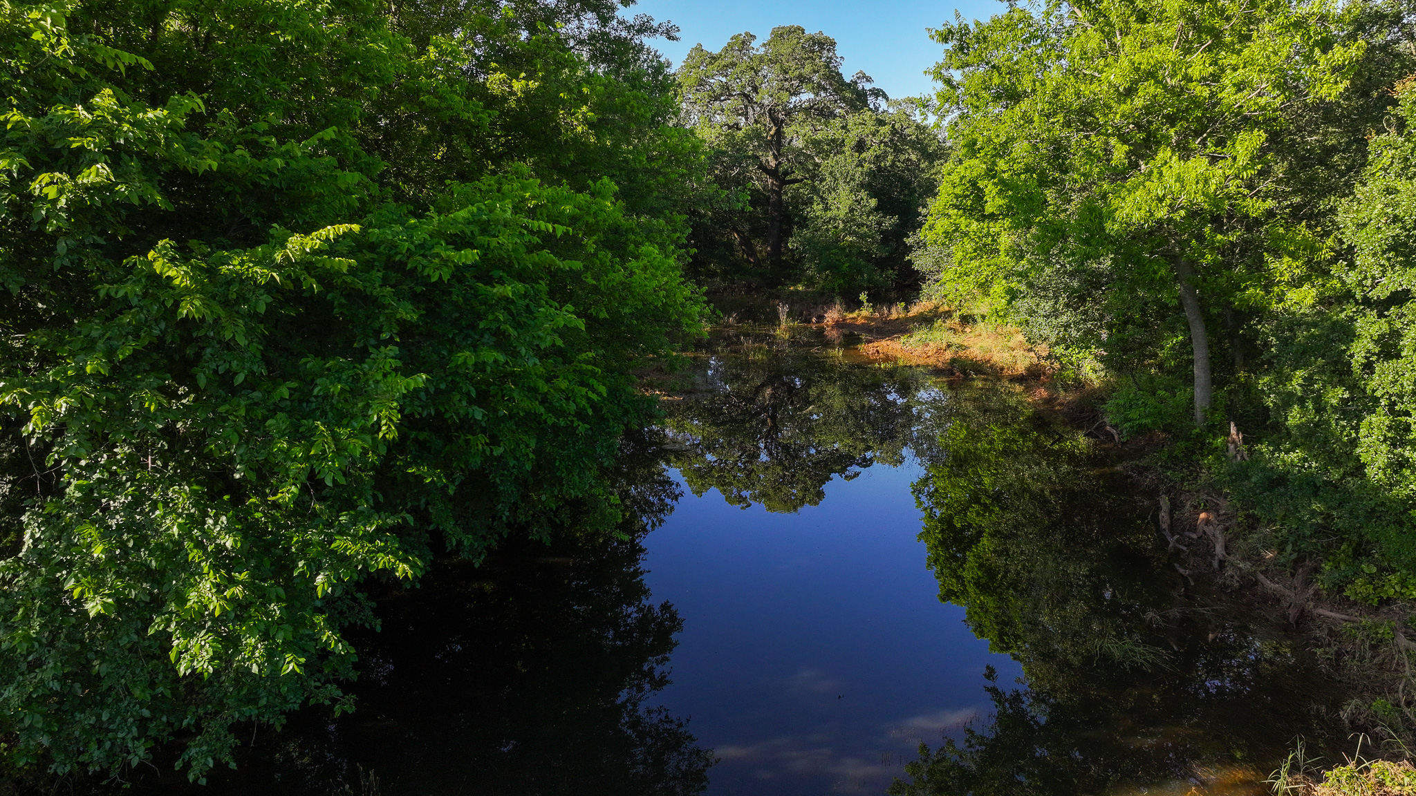 Gorgeous 355 acres of Hunting and Ranch Land in Archer County TX