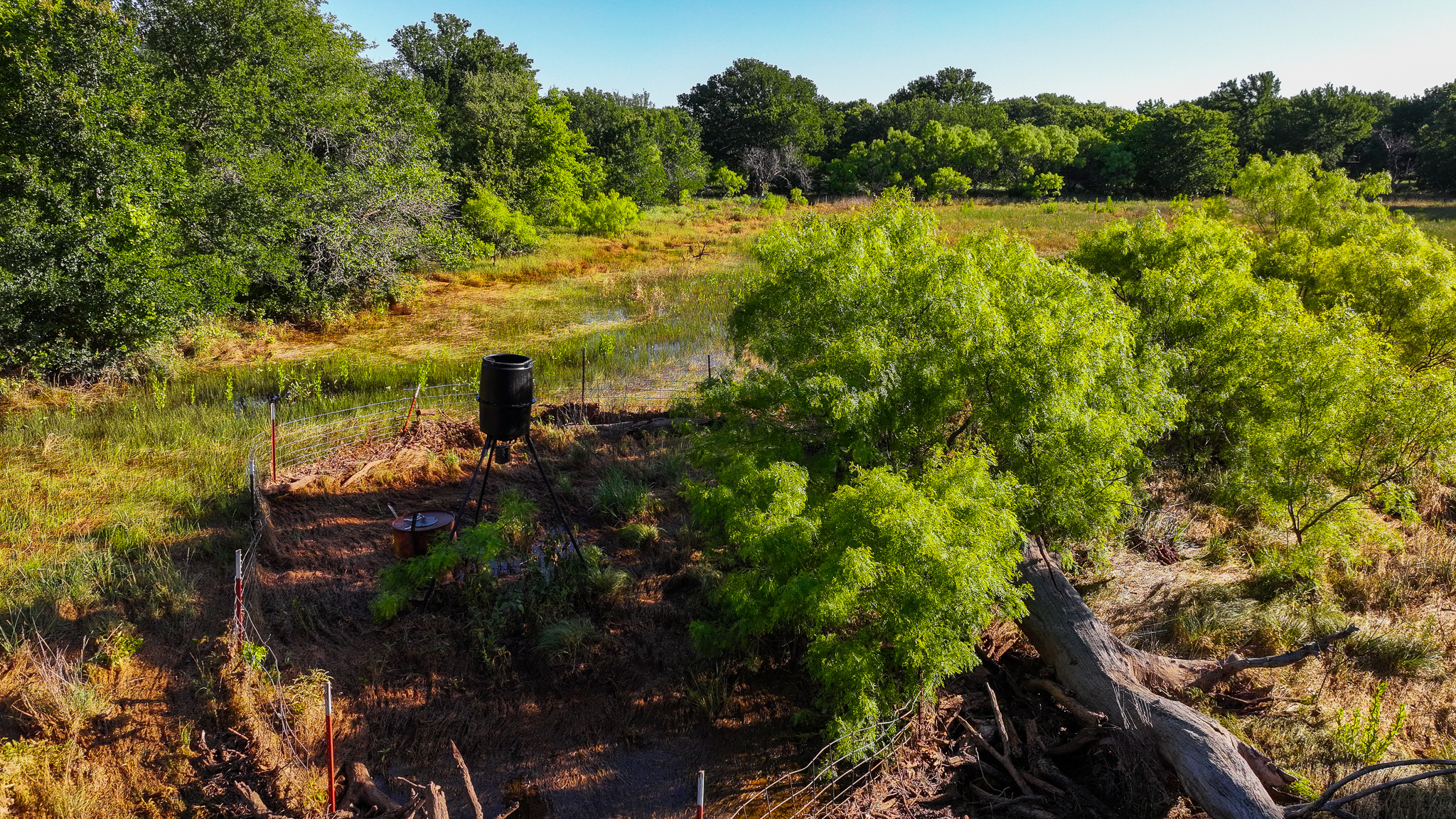 Gorgeous 355 acres of Hunting and Ranch Land in Archer County TX