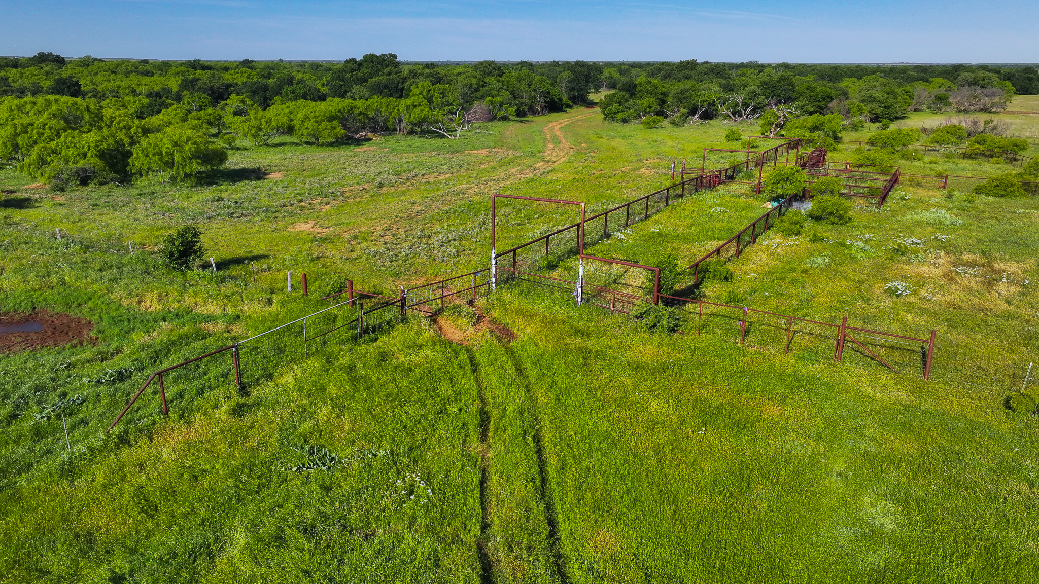 Gorgeous 355 acres of Hunting and Ranch Land in Archer County TX