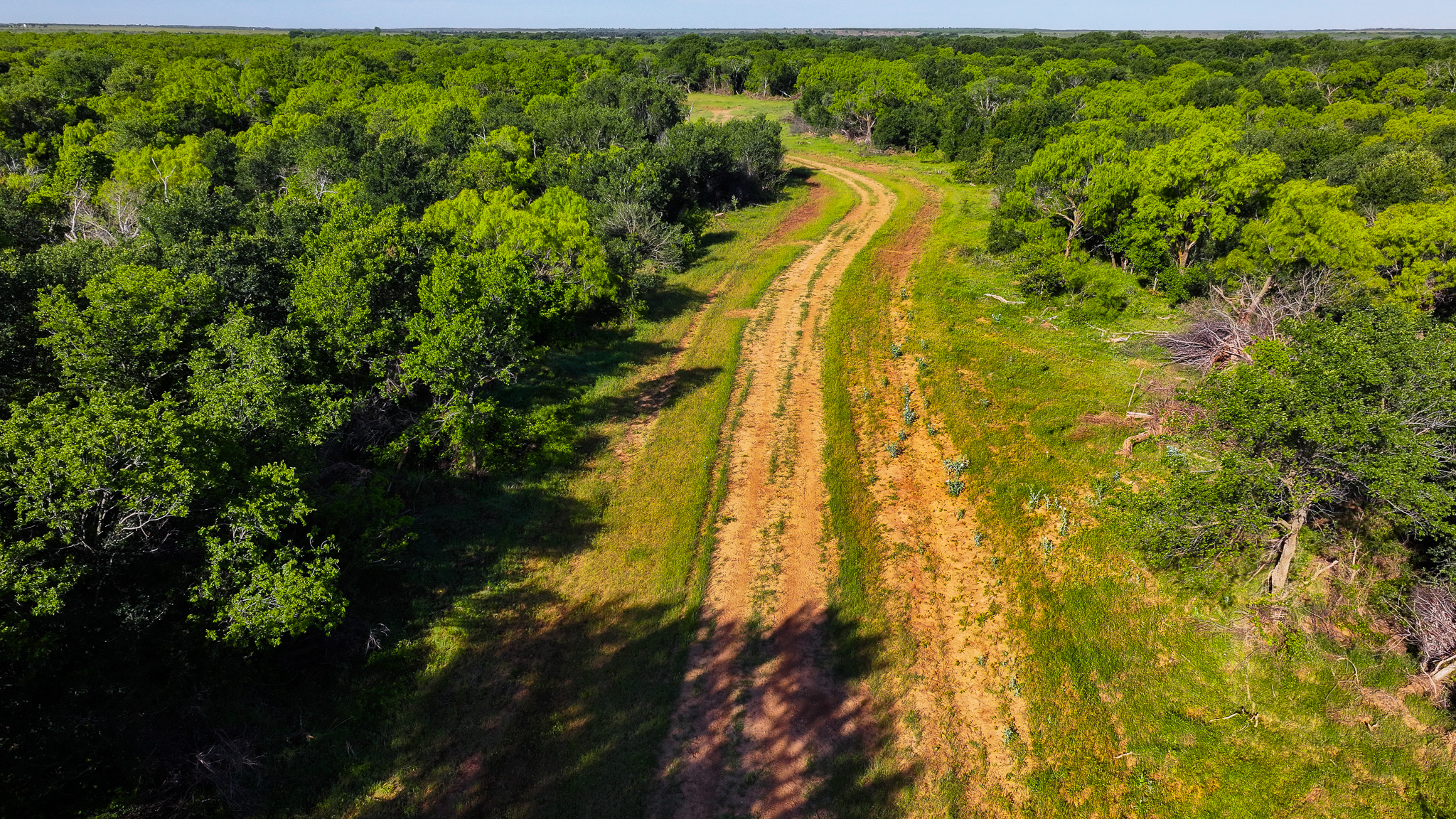 Gorgeous 355 acres of Hunting and Ranch Land in Archer County TX