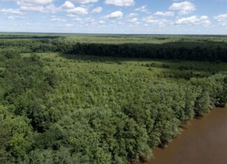 101 Acres on Roanoke River — Hunt, Fish & Build!