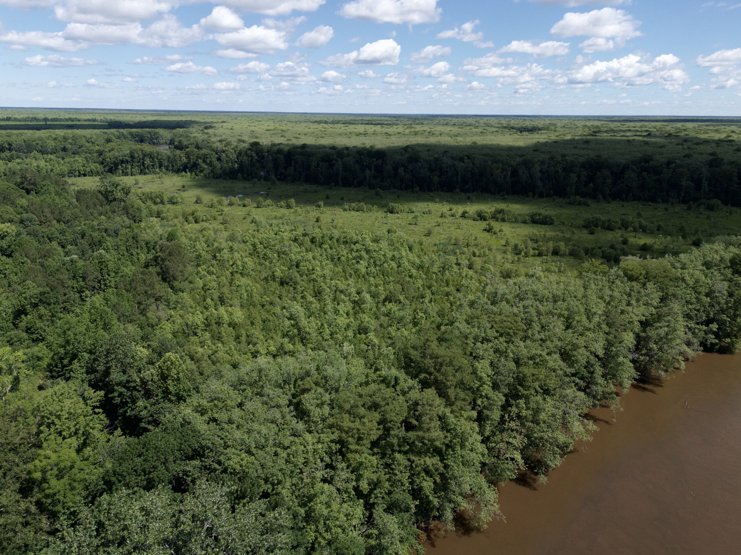 101 Acres on Roanoke River — Hunt, Fish & Build!