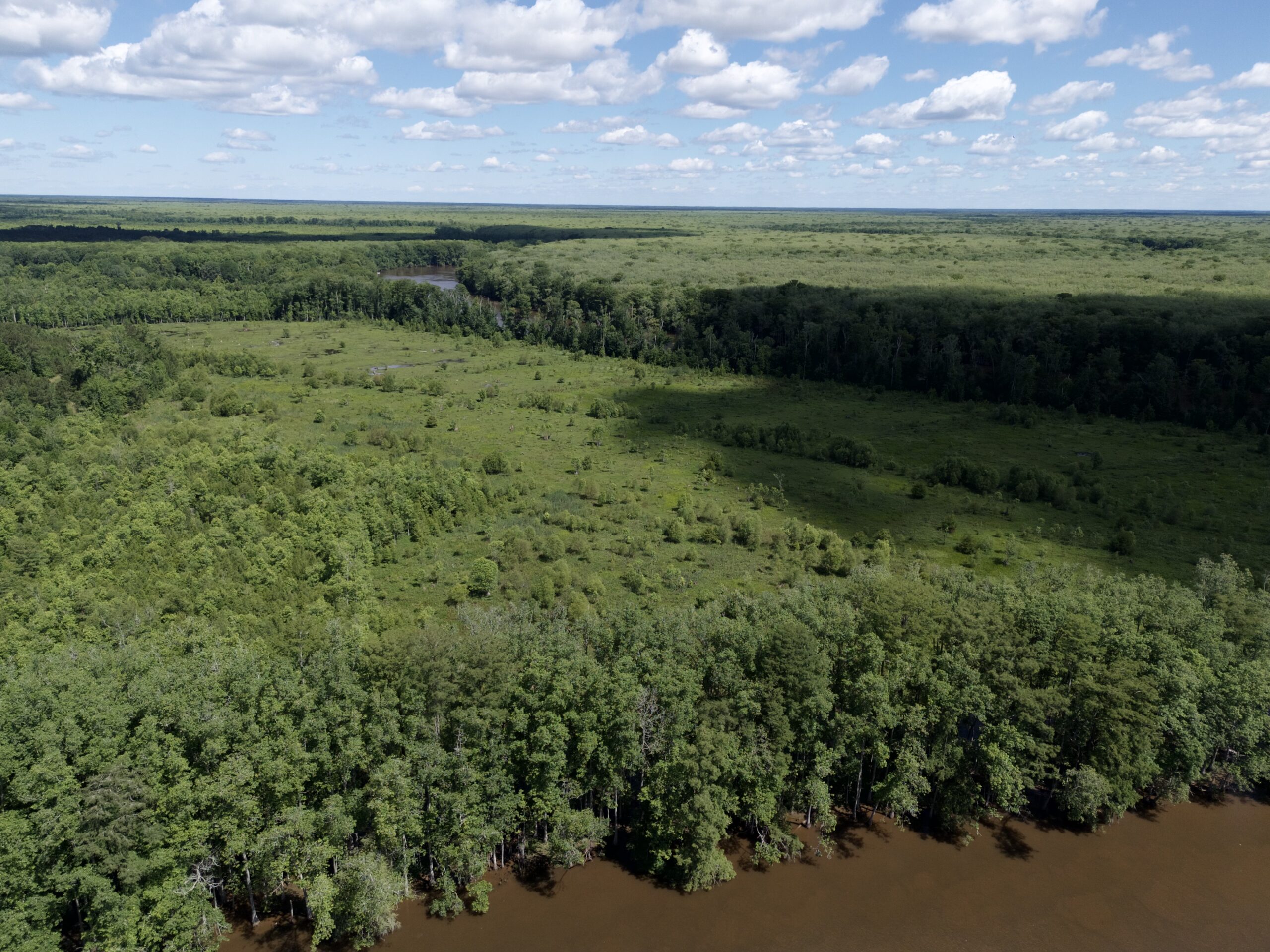 101 Acres on Roanoke River — Hunt, Fish & Build!