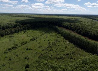 101 Acres on Roanoke River — Hunt, Fish & Build!