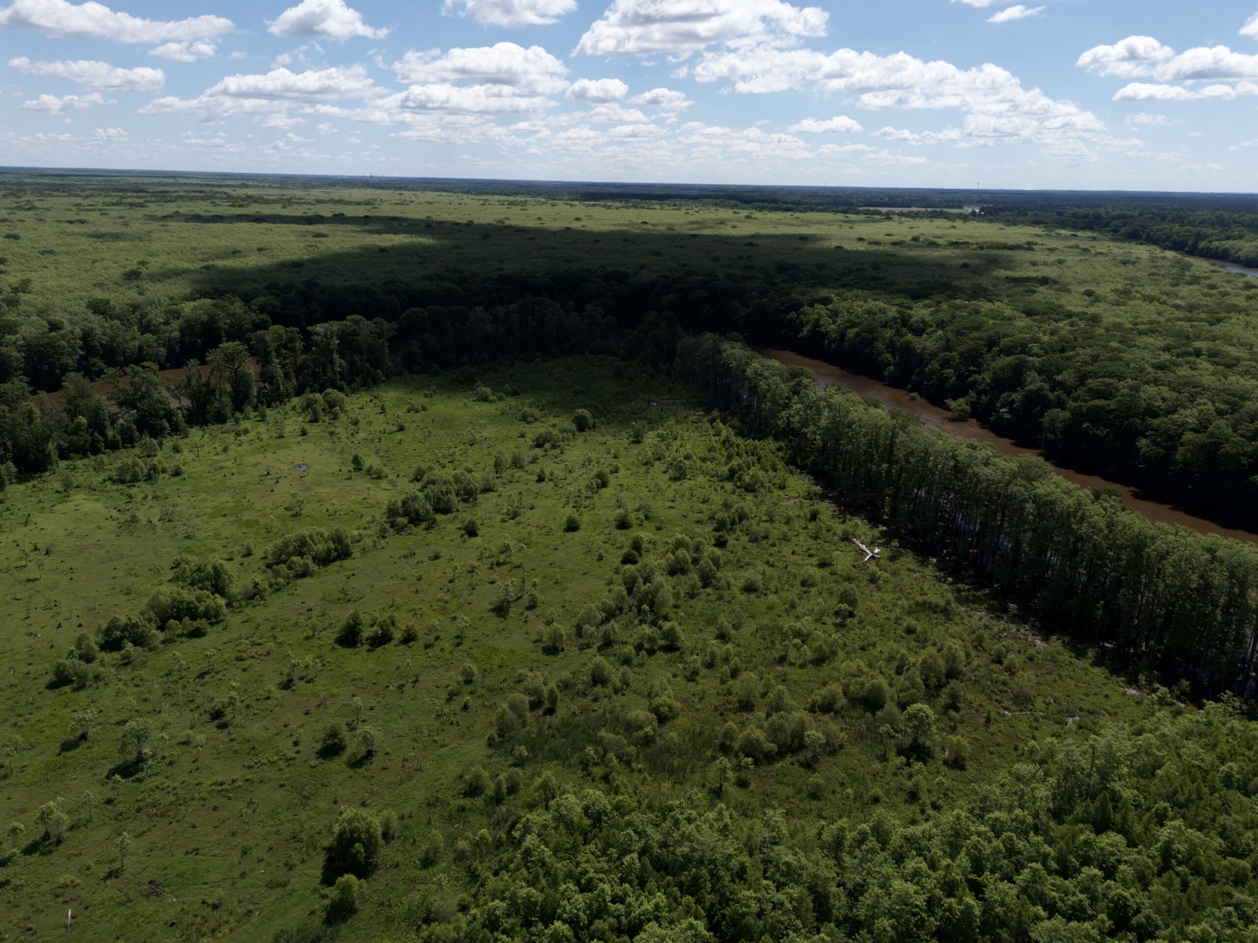 101 Acres on Roanoke River — Hunt, Fish & Build!