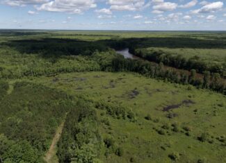 101 Acres on Roanoke River — Hunt, Fish & Build!