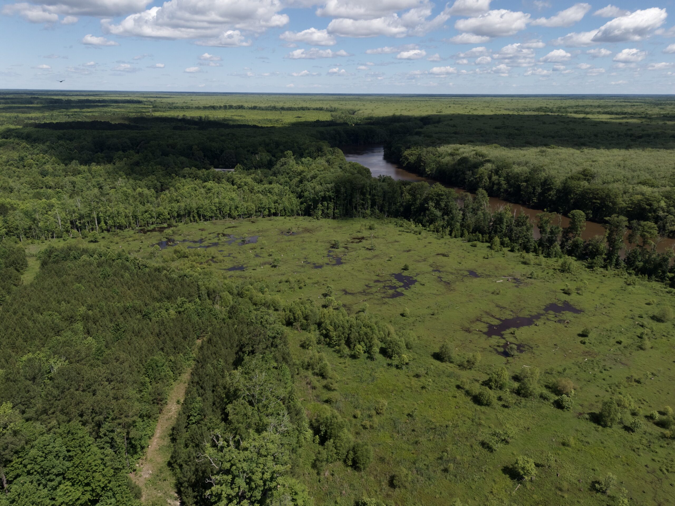 101 Acres on Roanoke River — Hunt, Fish & Build!