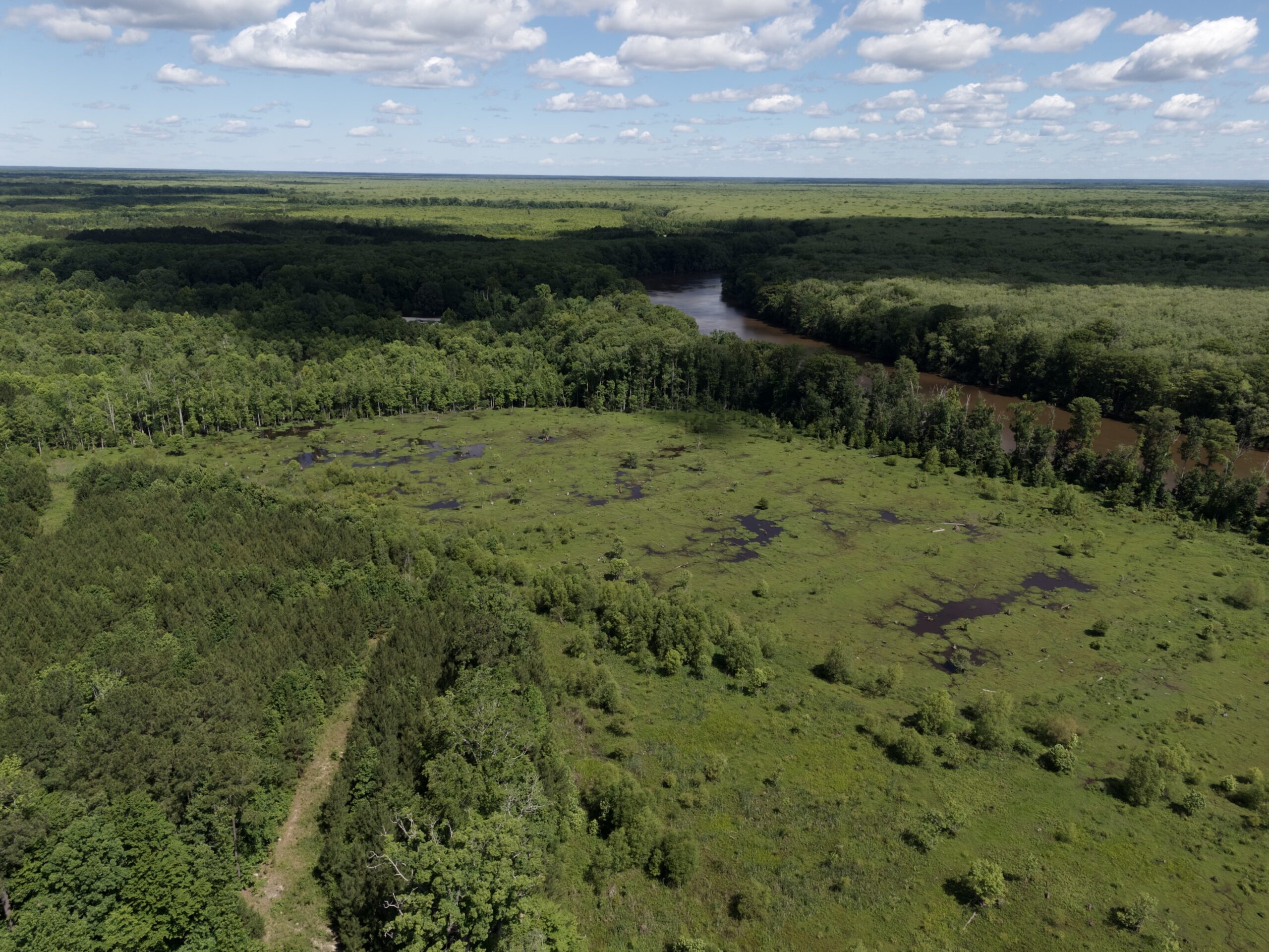 101 Acres on Roanoke River — Hunt, Fish & Build!