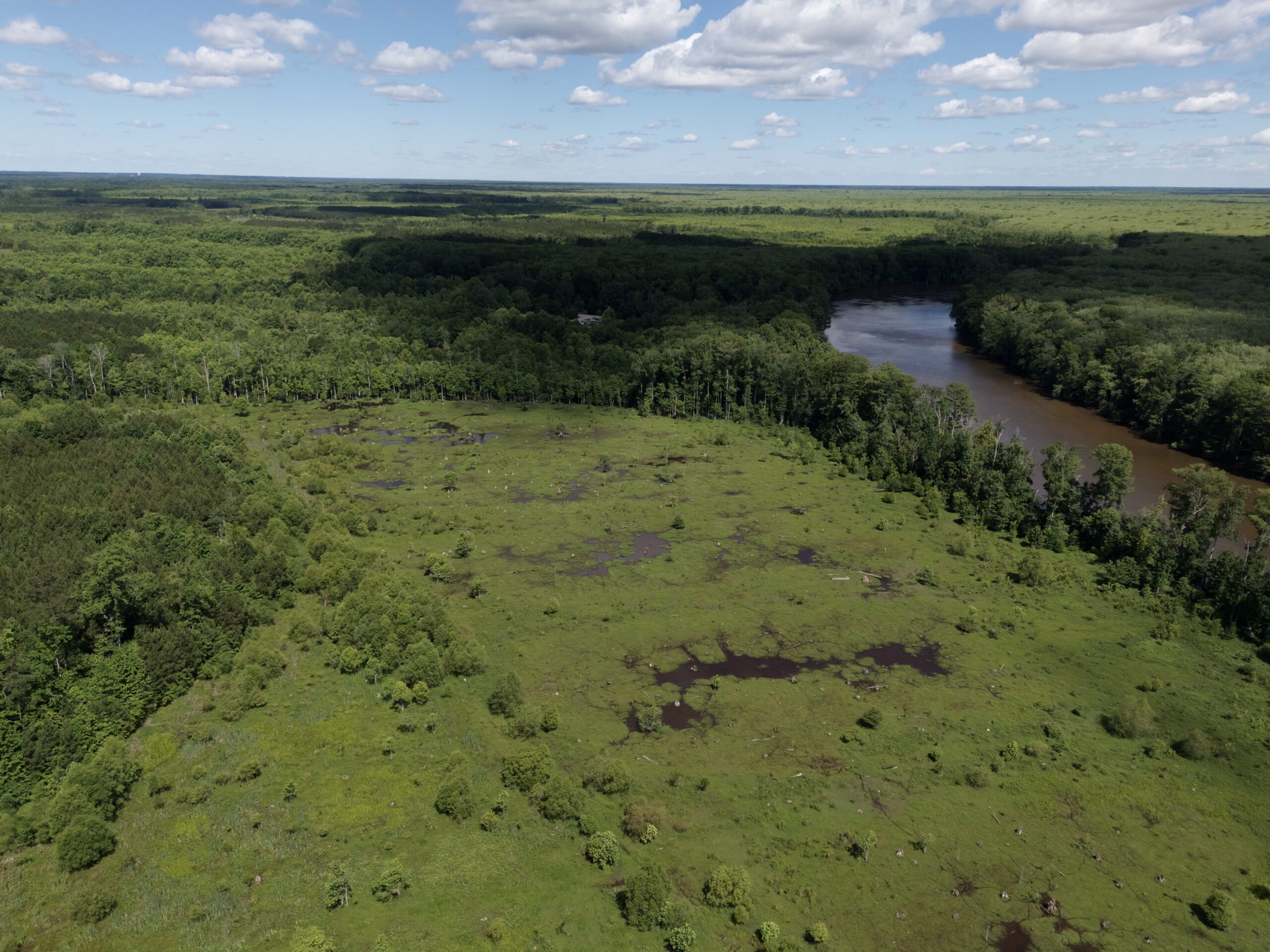 101 Acres on Roanoke River — Hunt, Fish & Build!
