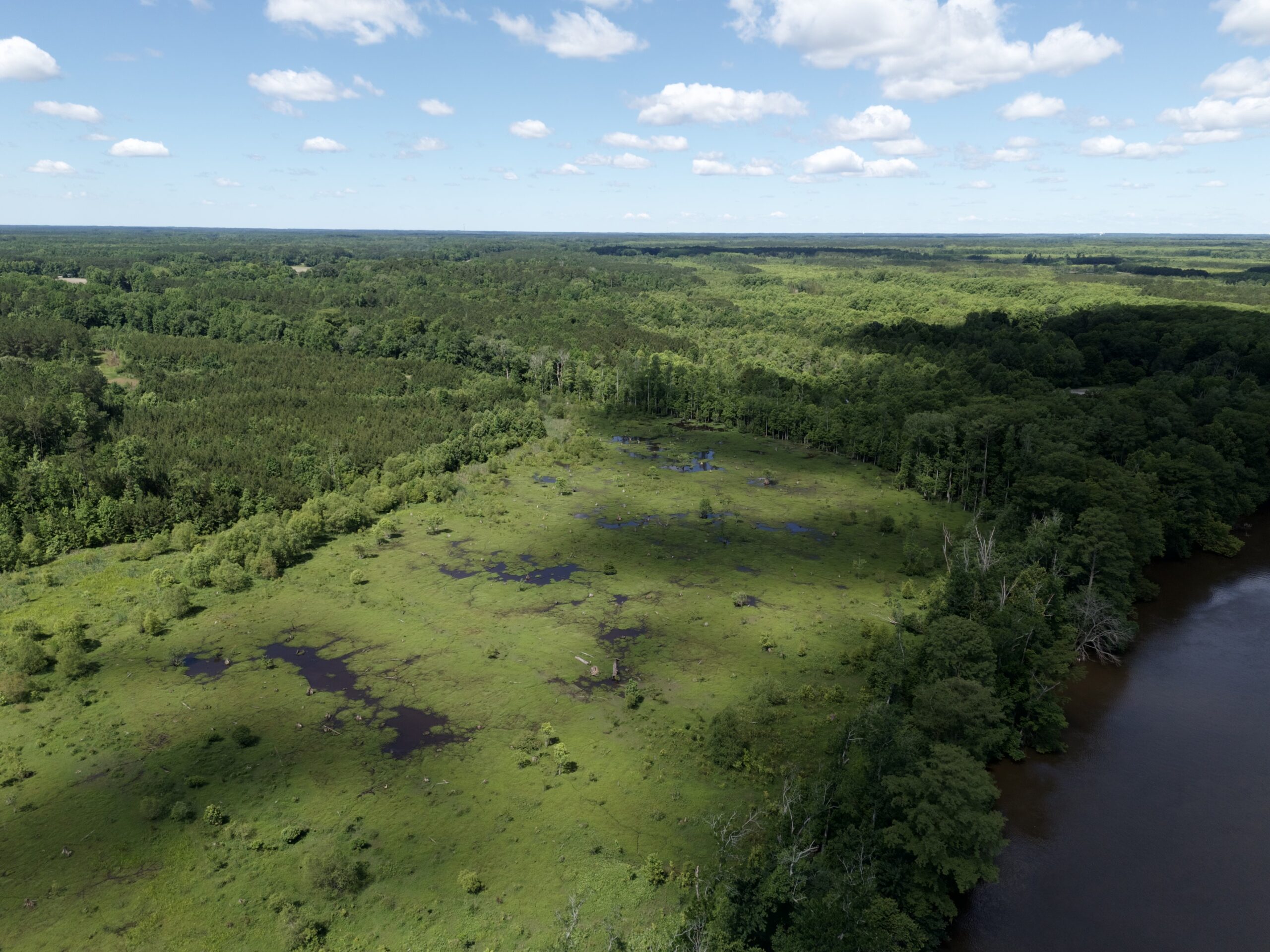 101 Acres on Roanoke River — Hunt, Fish & Build!