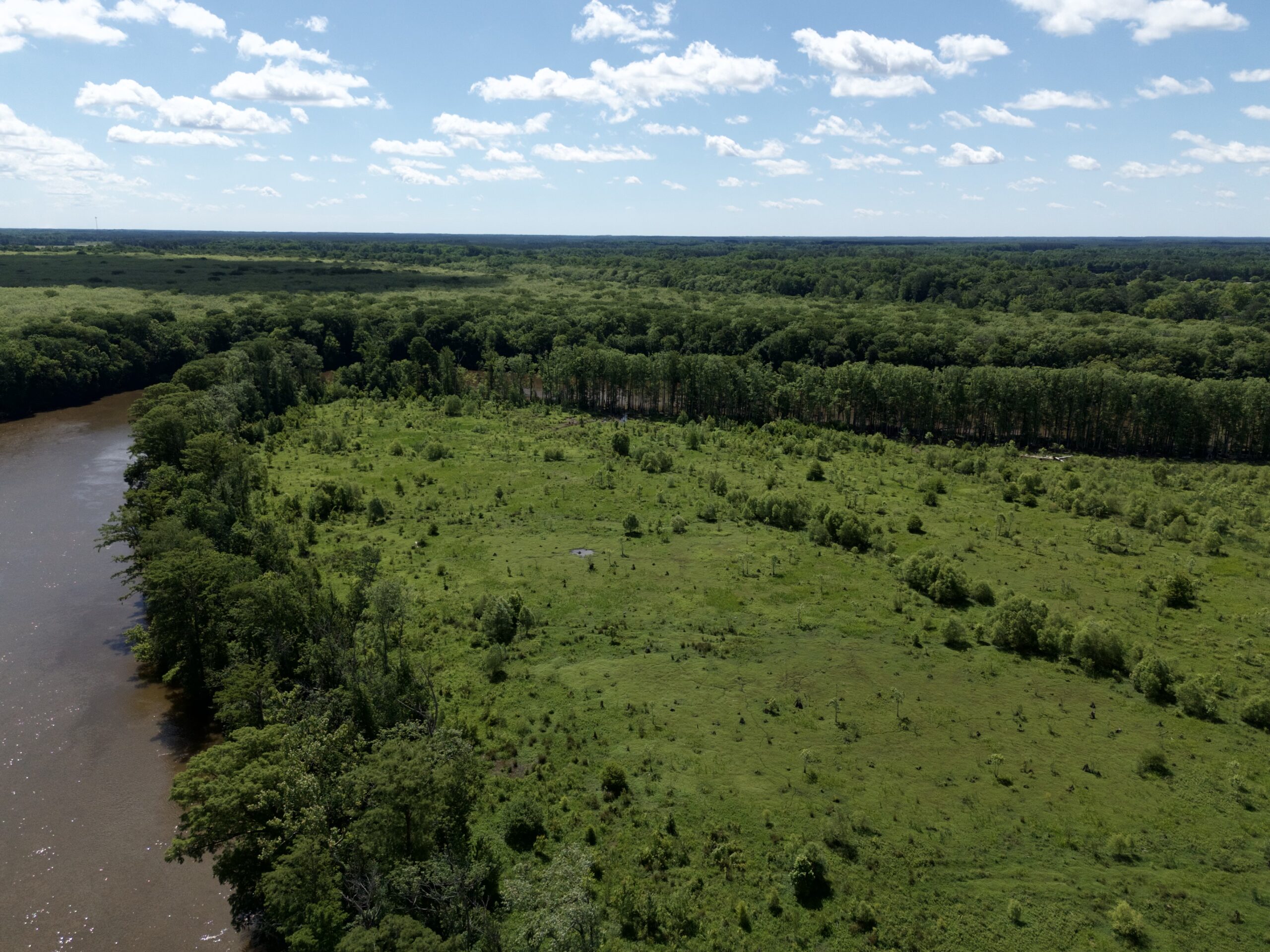 101 Acres on Roanoke River — Hunt, Fish & Build!