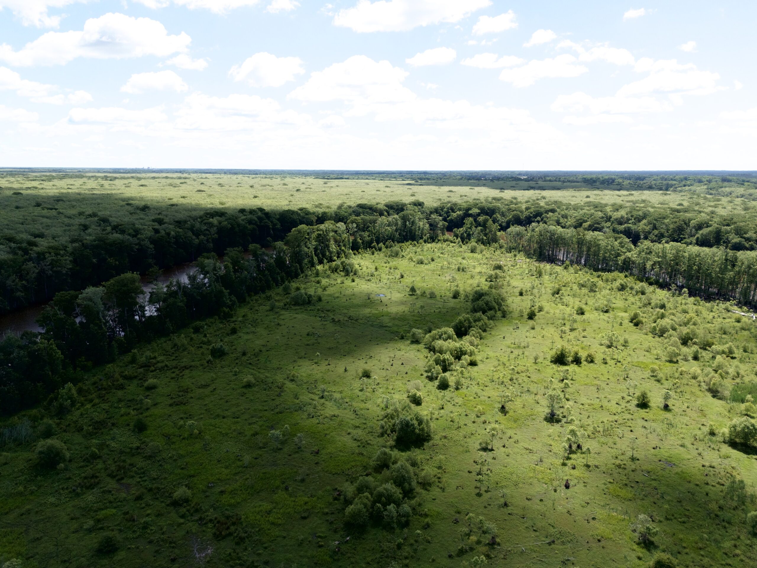 101 Acres on Roanoke River — Hunt, Fish & Build!