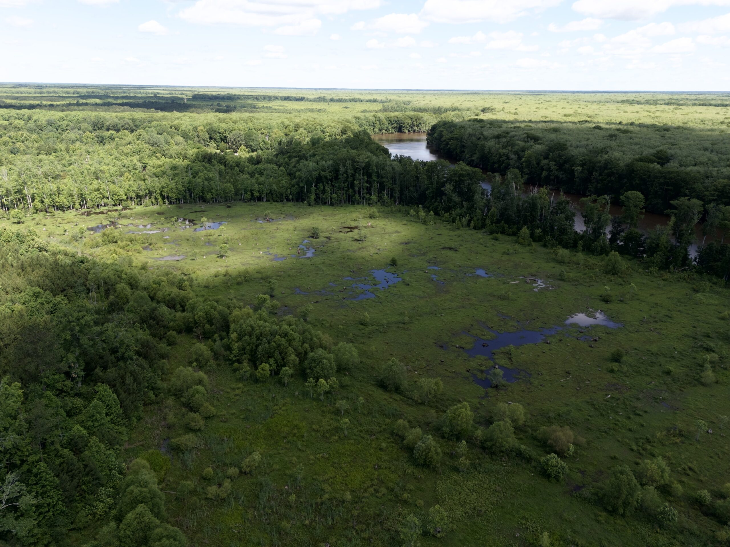 101 Acres on Roanoke River — Hunt, Fish & Build!
