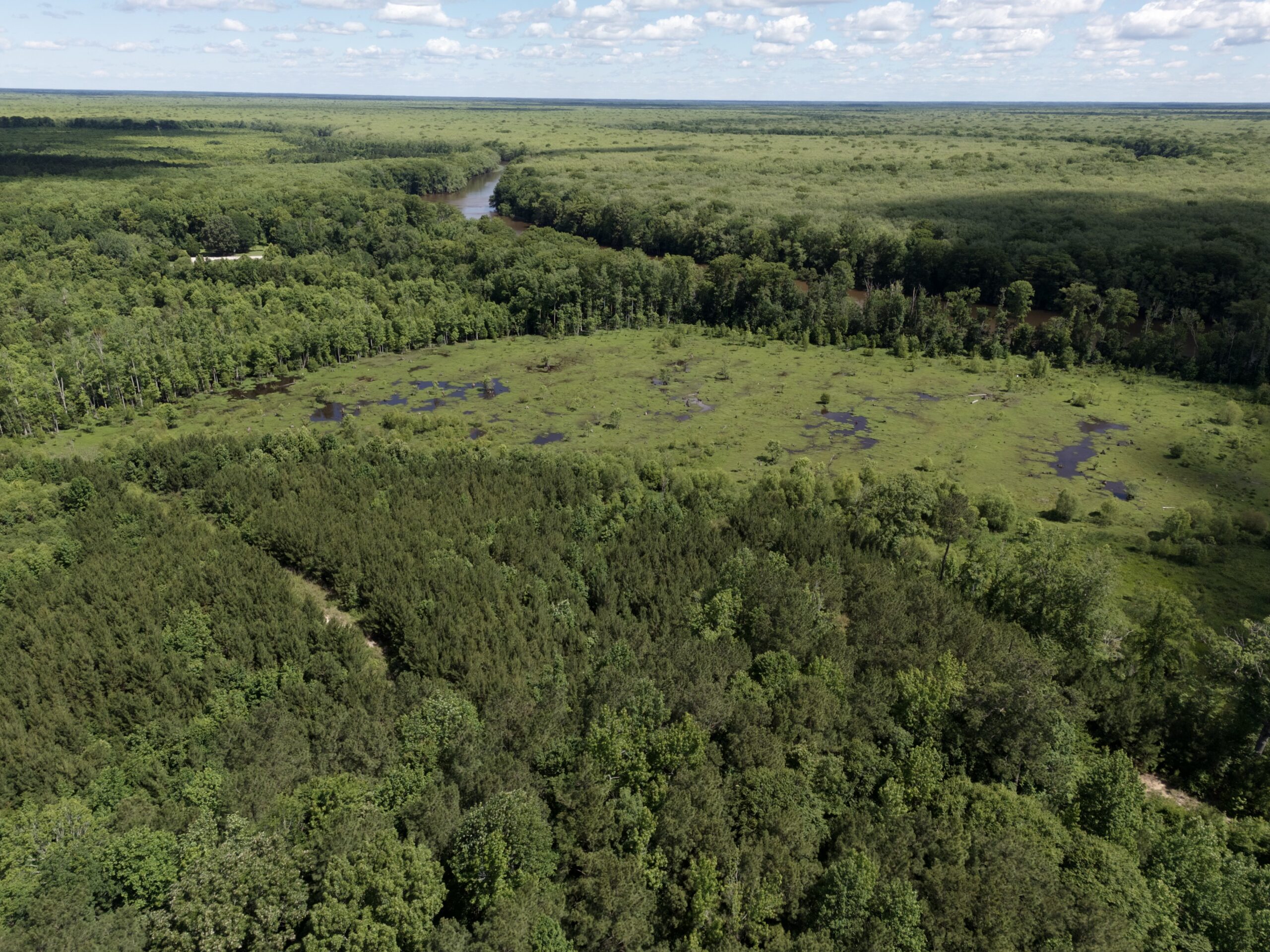 101 Acres on Roanoke River — Hunt, Fish & Build!