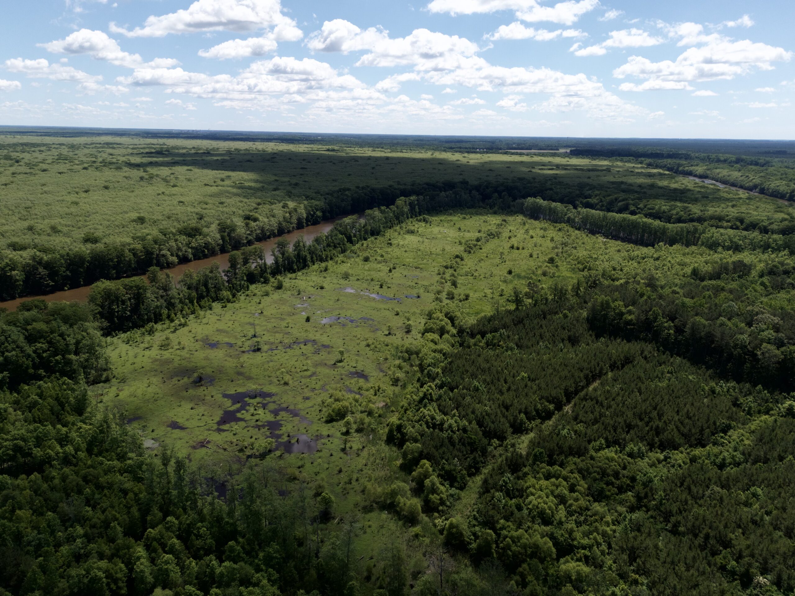 101 Acres on Roanoke River — Hunt, Fish & Build!