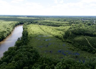101 Acres on Roanoke River — Hunt, Fish & Build!