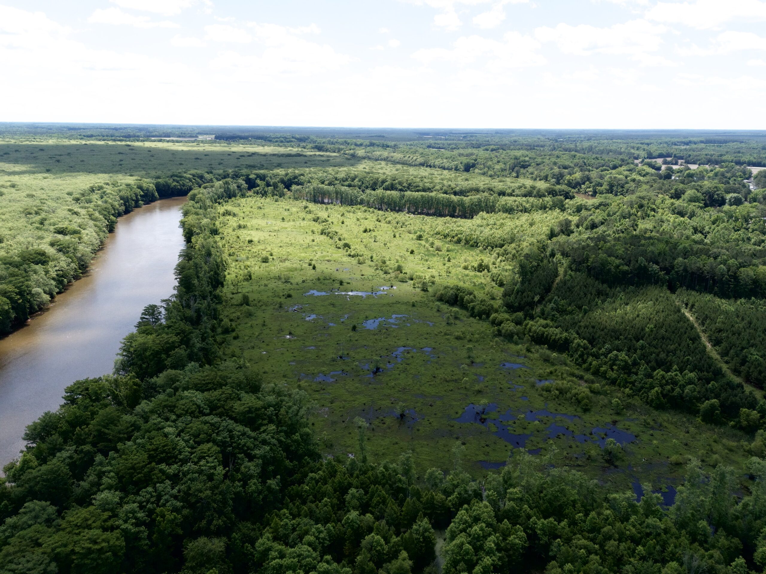 101 Acres on Roanoke River — Hunt, Fish & Build!