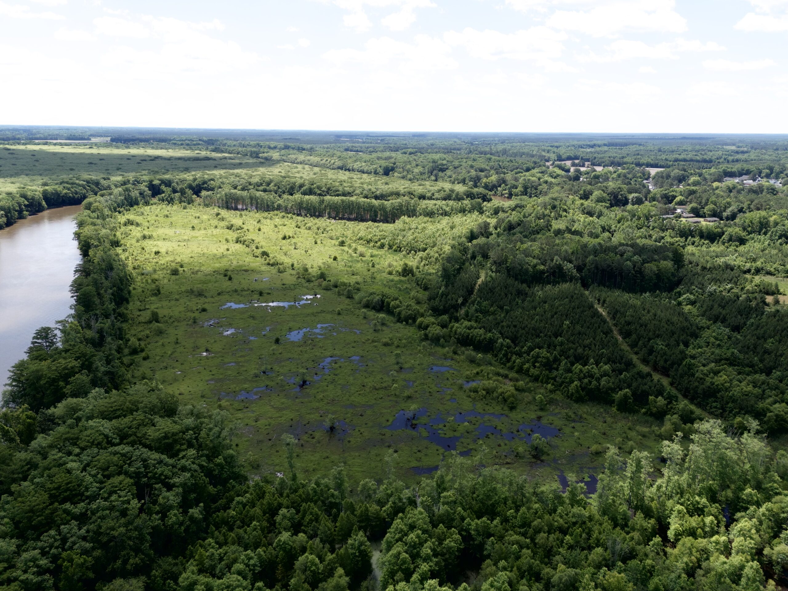 101 Acres on Roanoke River — Hunt, Fish & Build!