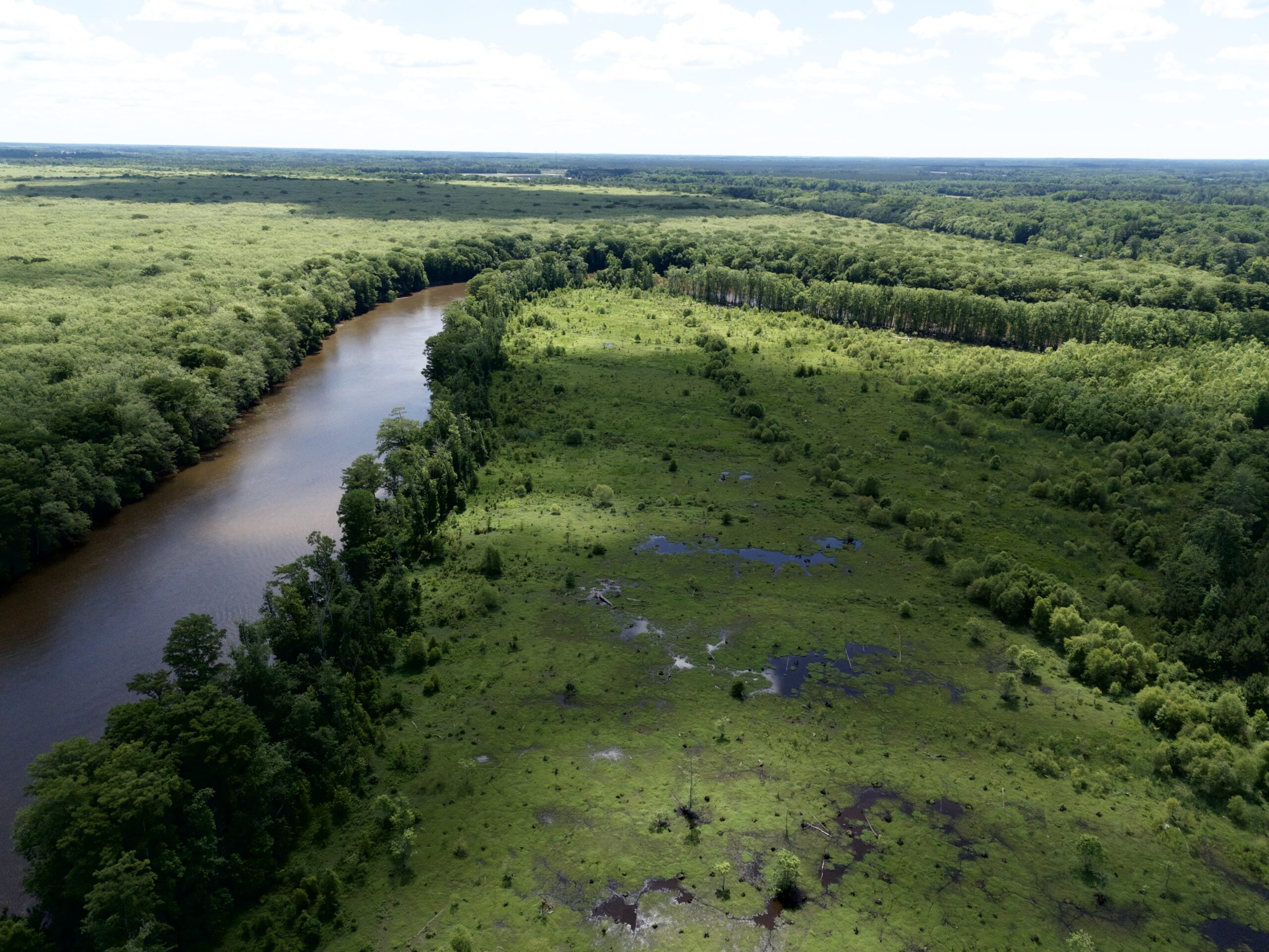 101 Acres on Roanoke River — Hunt, Fish & Build!