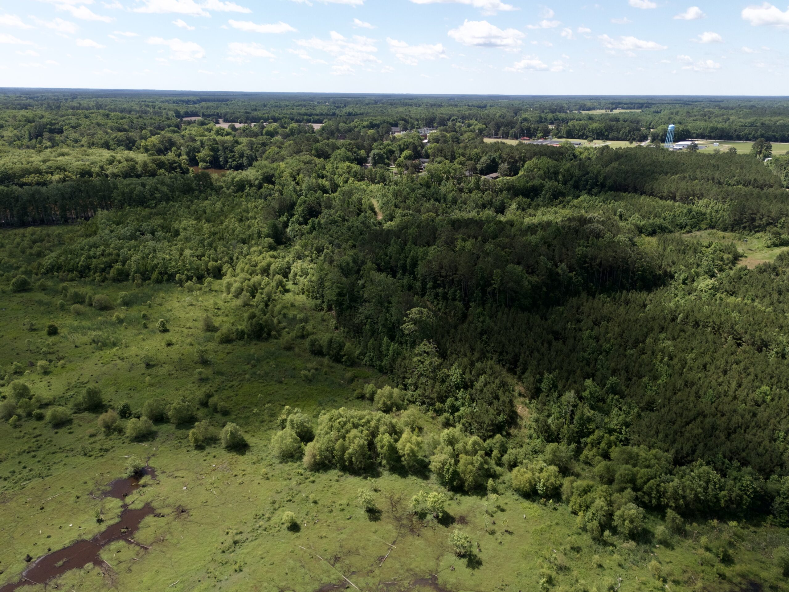 101 Acres on Roanoke River — Hunt, Fish & Build!