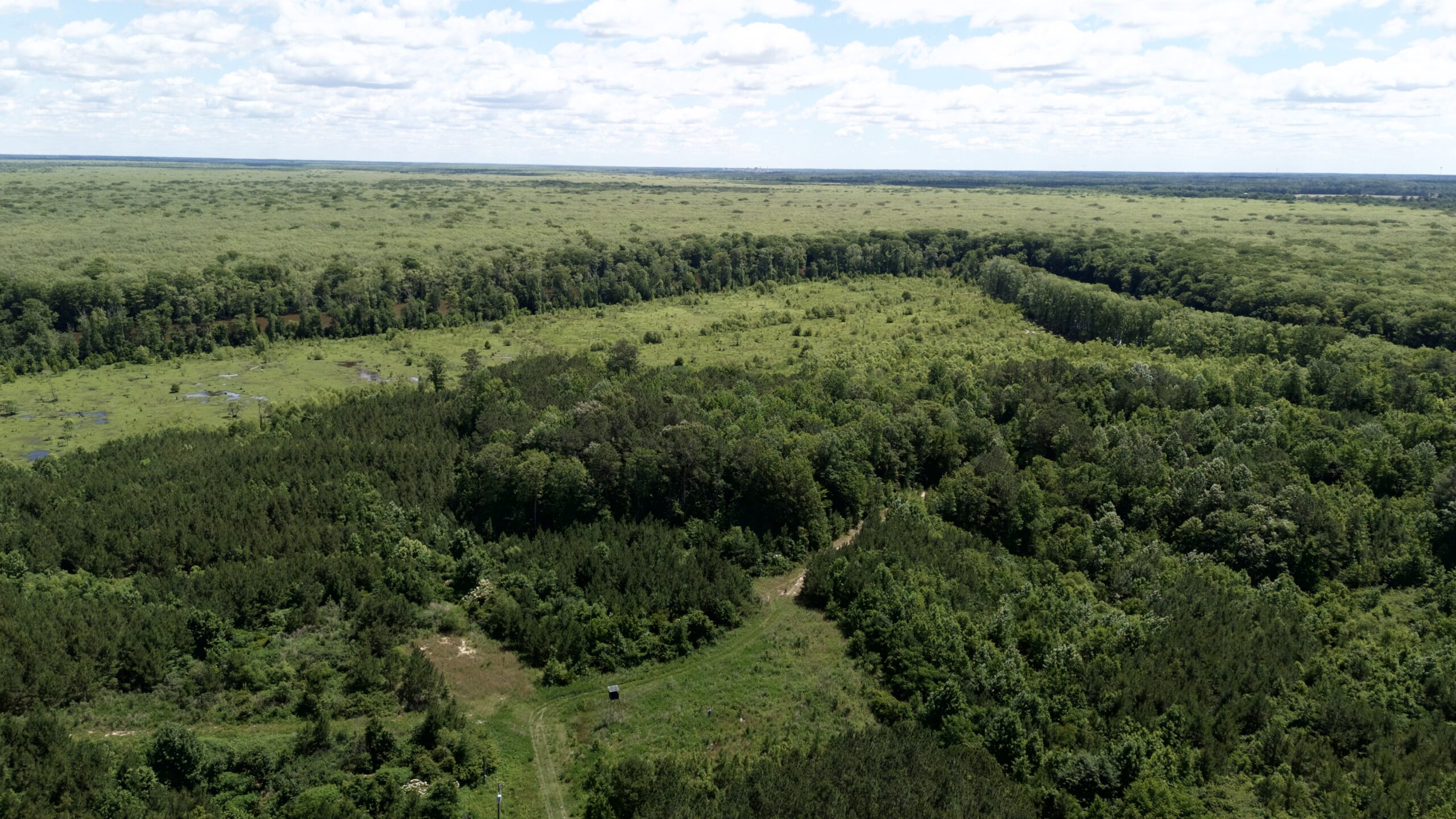 101 Acres on Roanoke River — Hunt, Fish & Build!