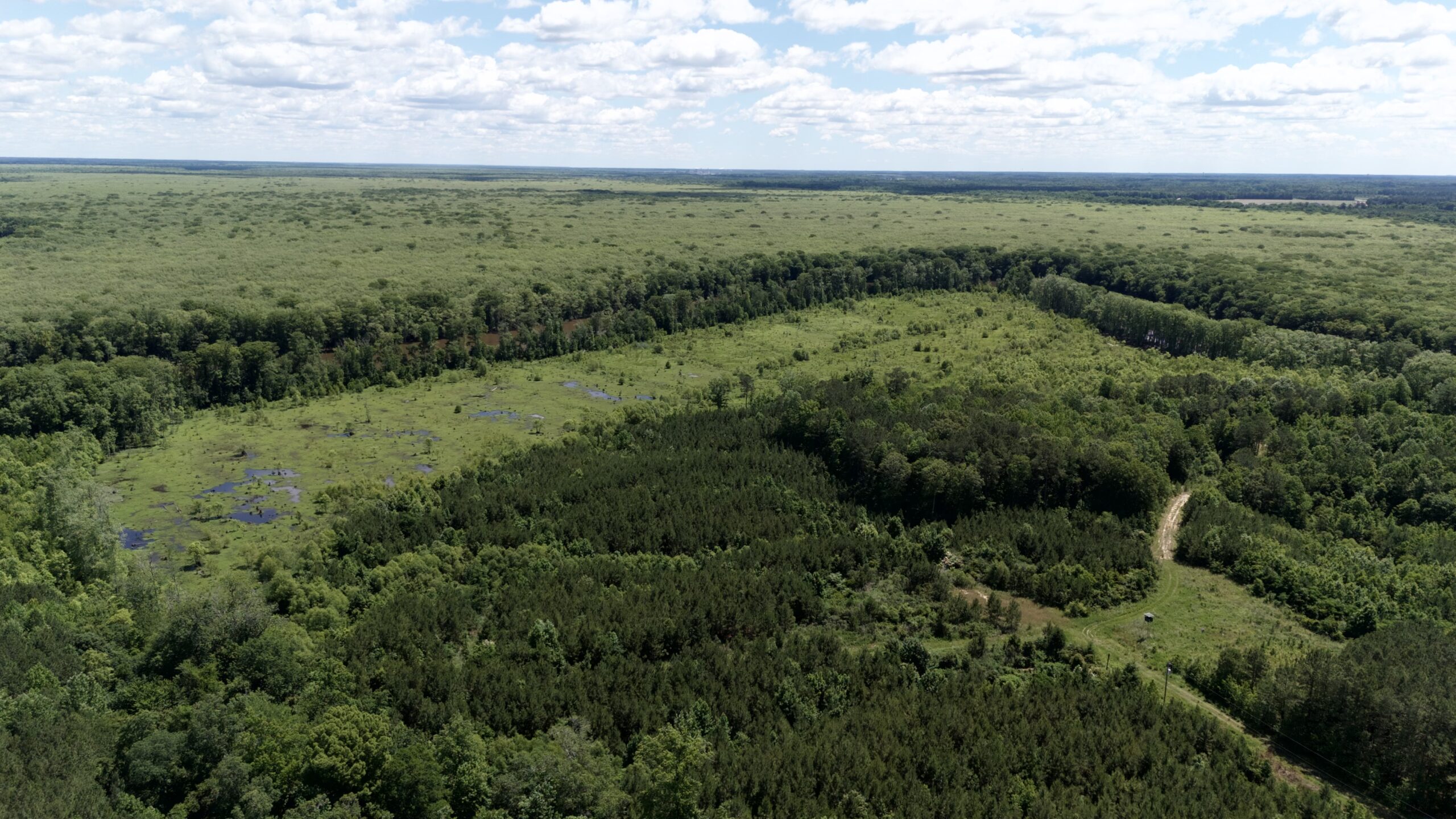 101 Acres on Roanoke River — Hunt, Fish & Build!