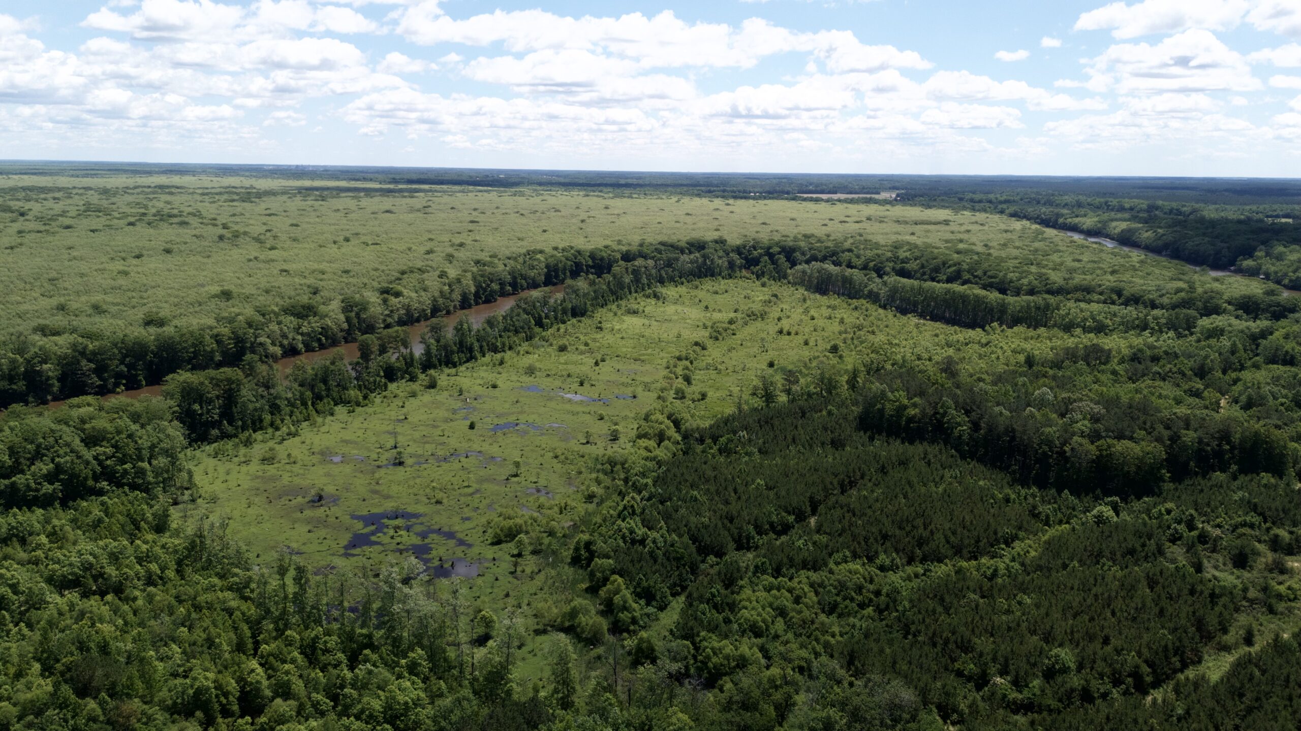 101 Acres on Roanoke River — Hunt, Fish & Build!