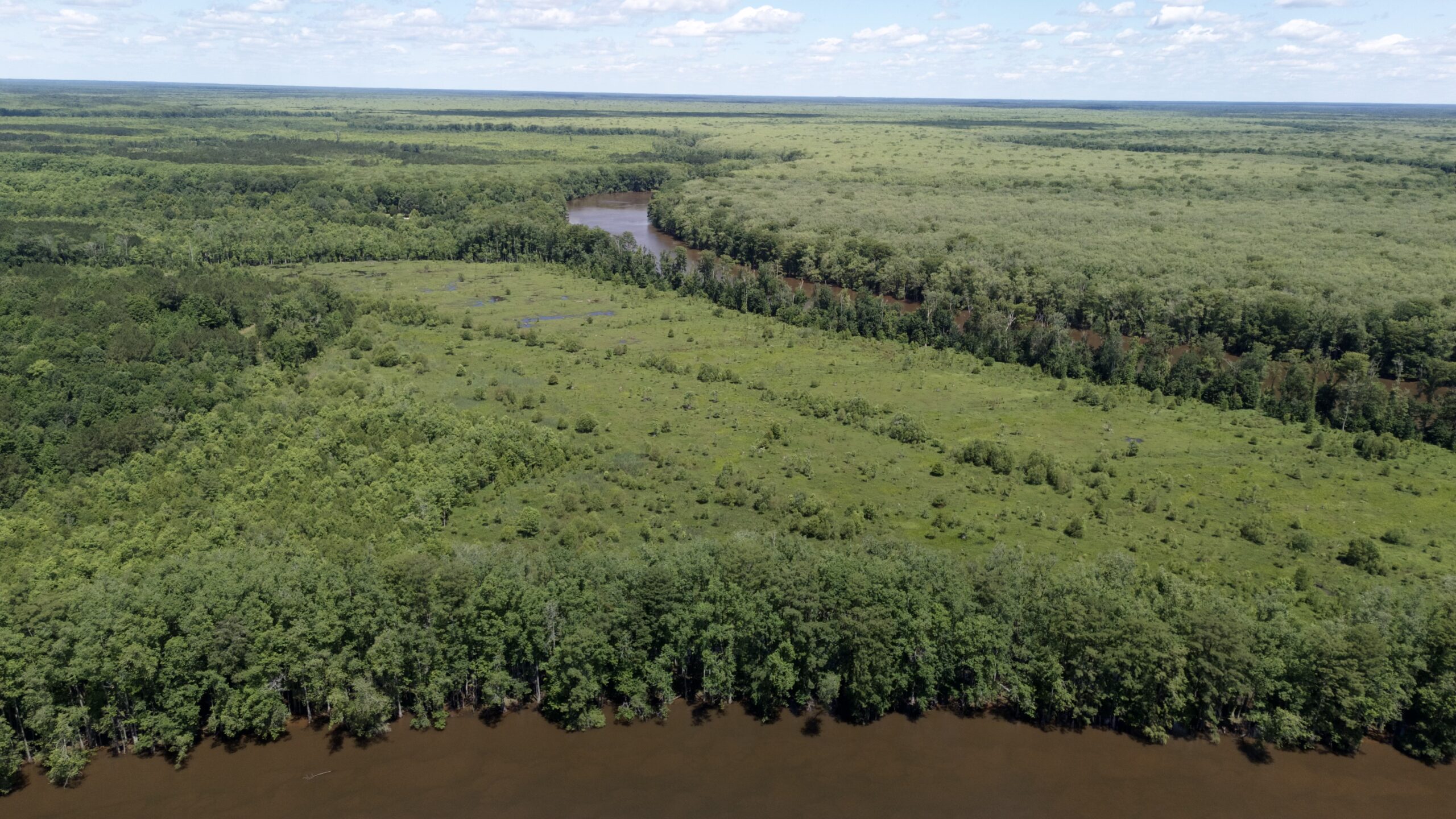 101 Acres on Roanoke River — Hunt, Fish & Build!