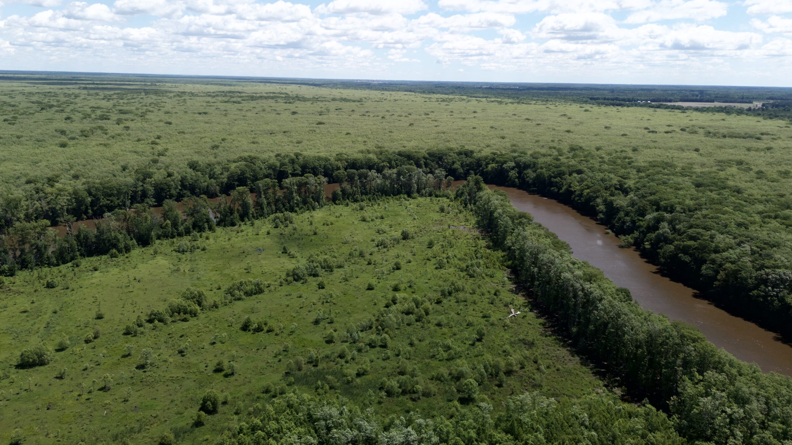 101 Acres on Roanoke River — Hunt, Fish & Build!