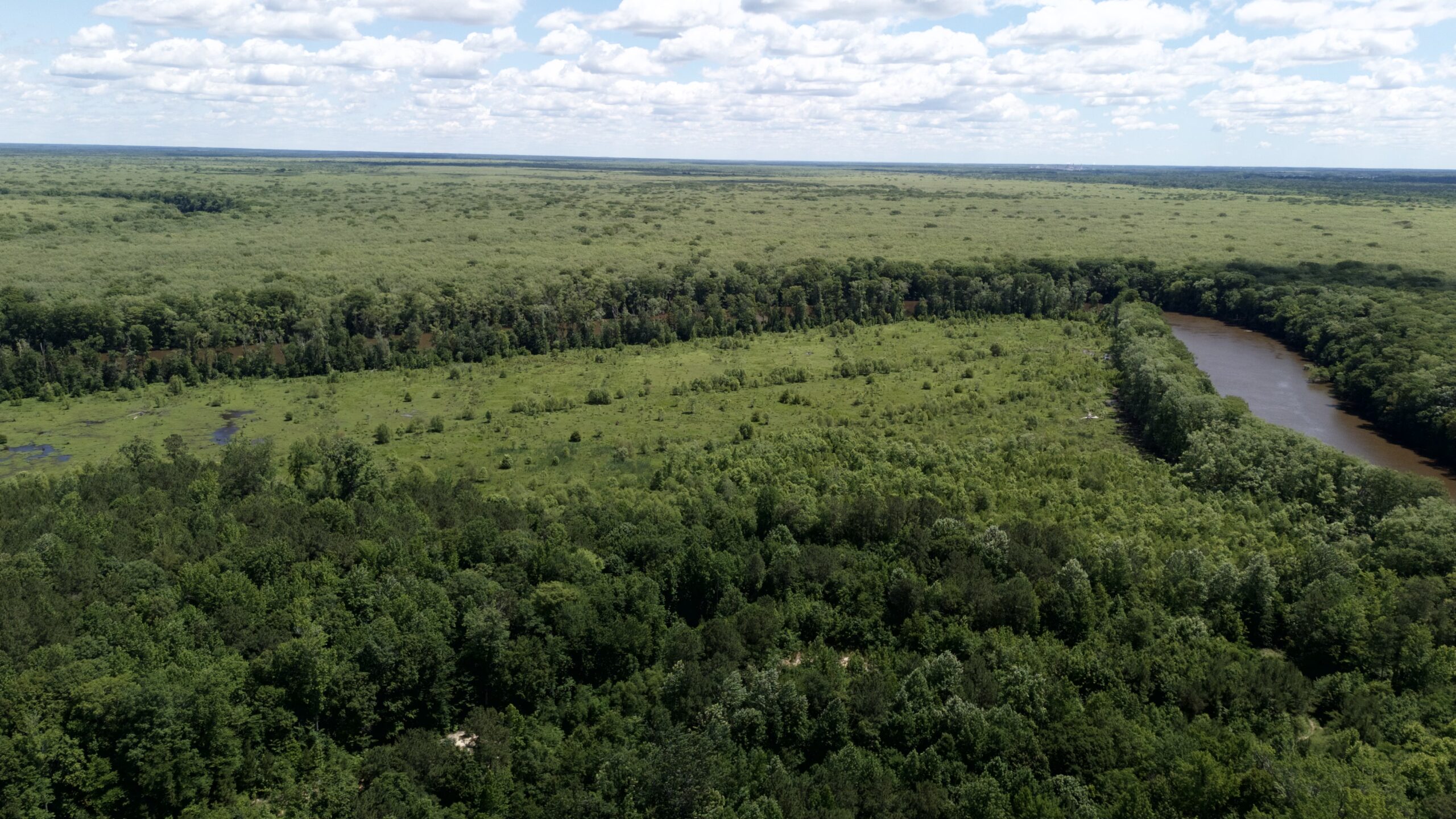 101 Acres on Roanoke River — Hunt, Fish & Build!
