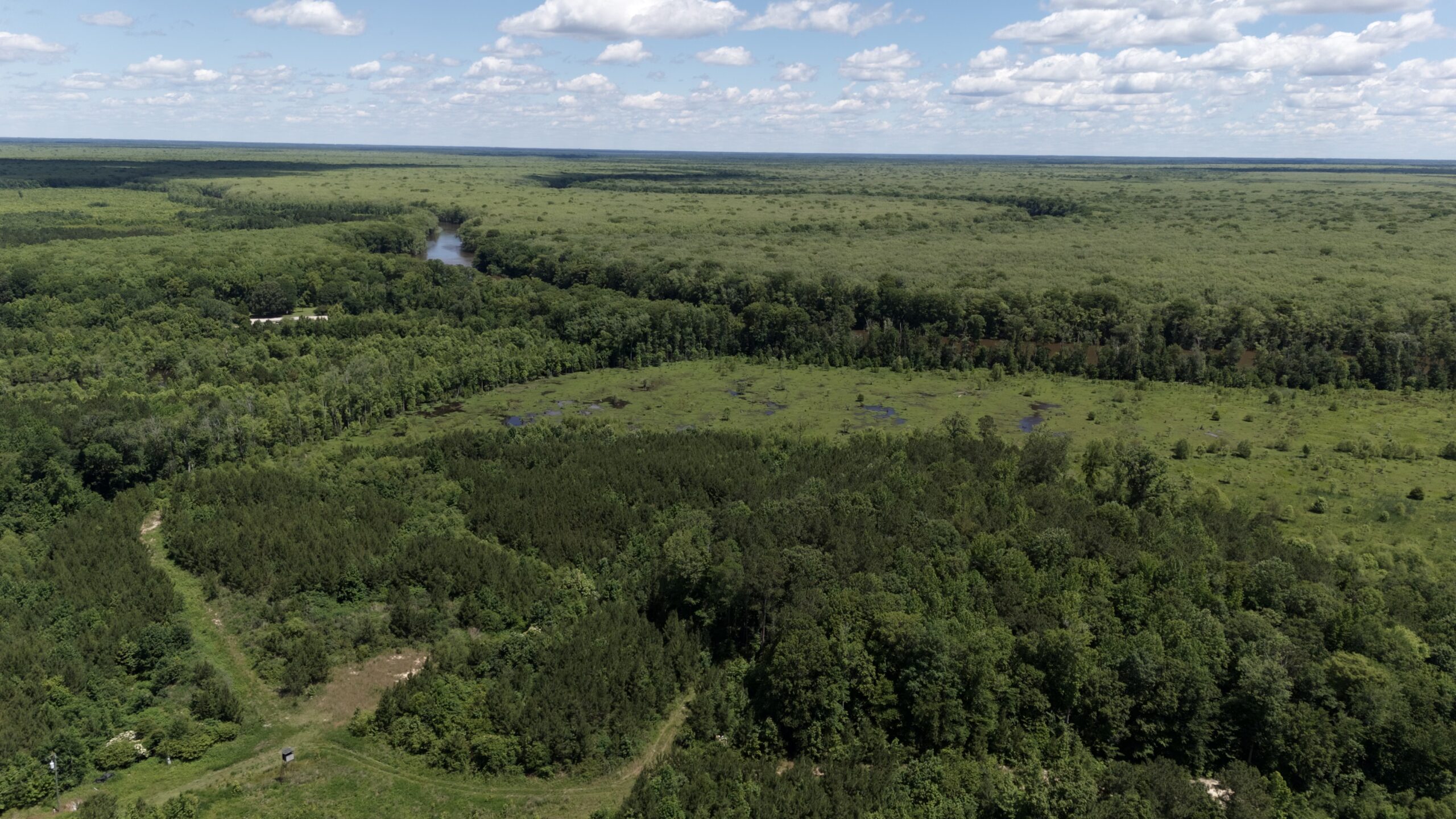 101 Acres on Roanoke River — Hunt, Fish & Build!