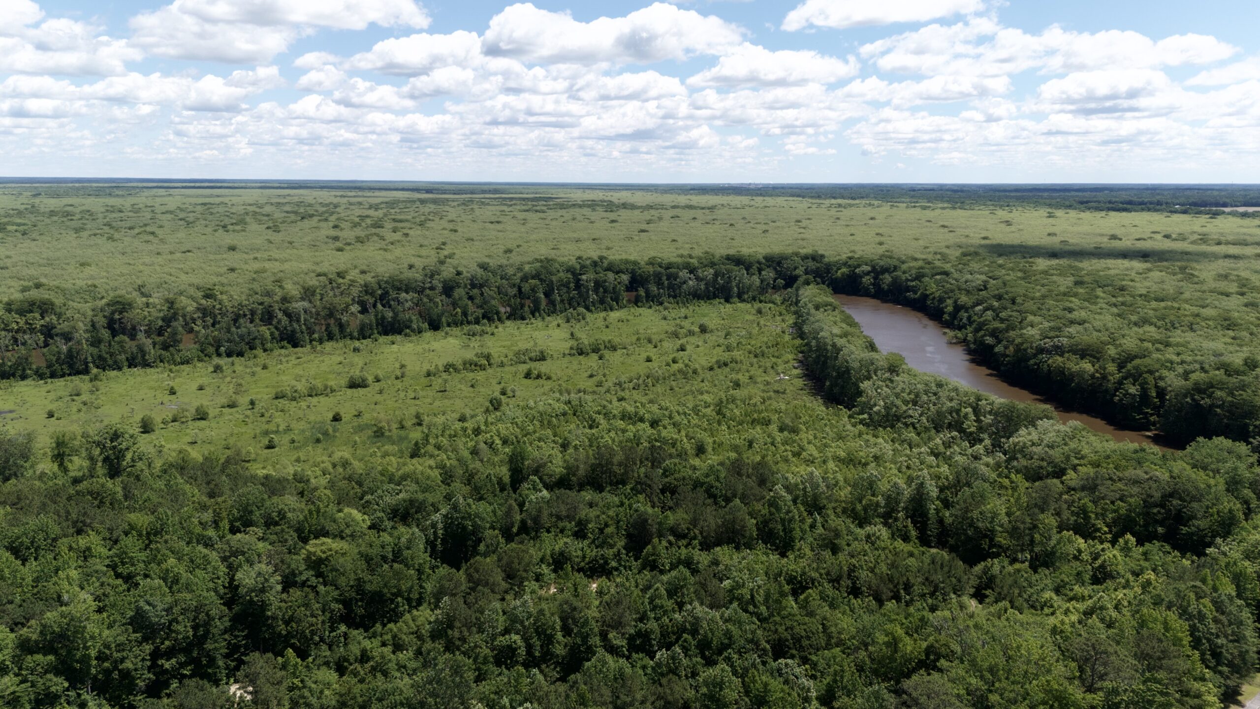101 Acres on Roanoke River — Hunt, Fish & Build!