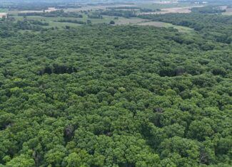 Outstanding Hunting Property in Northwest Knox County, MO