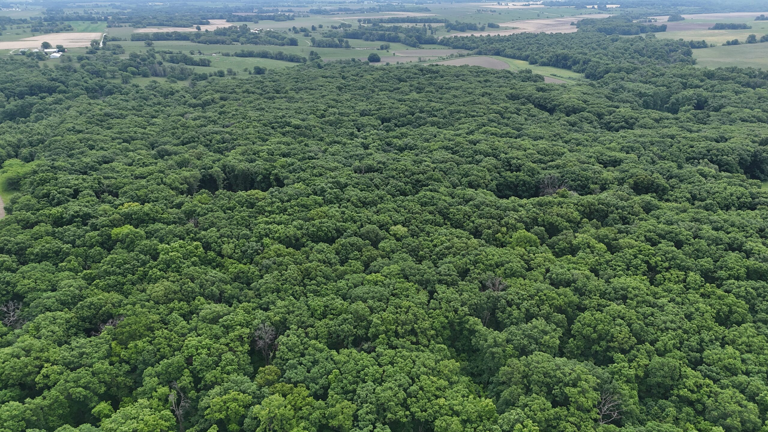 Outstanding Hunting Property in Northwest Knox County, MO