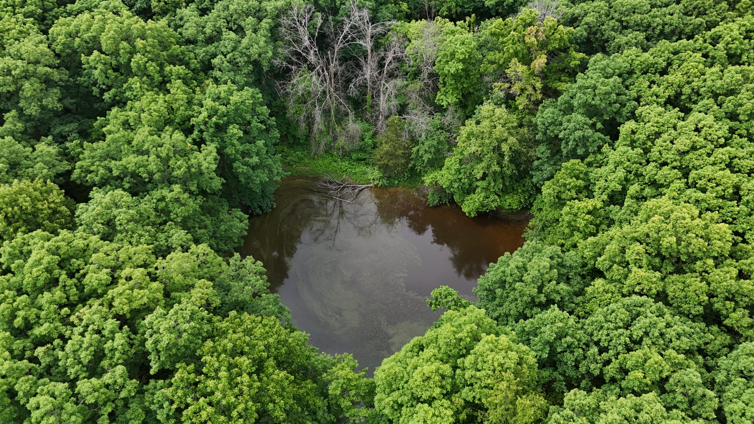 Outstanding Hunting Property in Northwest Knox County, MO