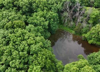 Outstanding Hunting Property in Northwest Knox County, MO