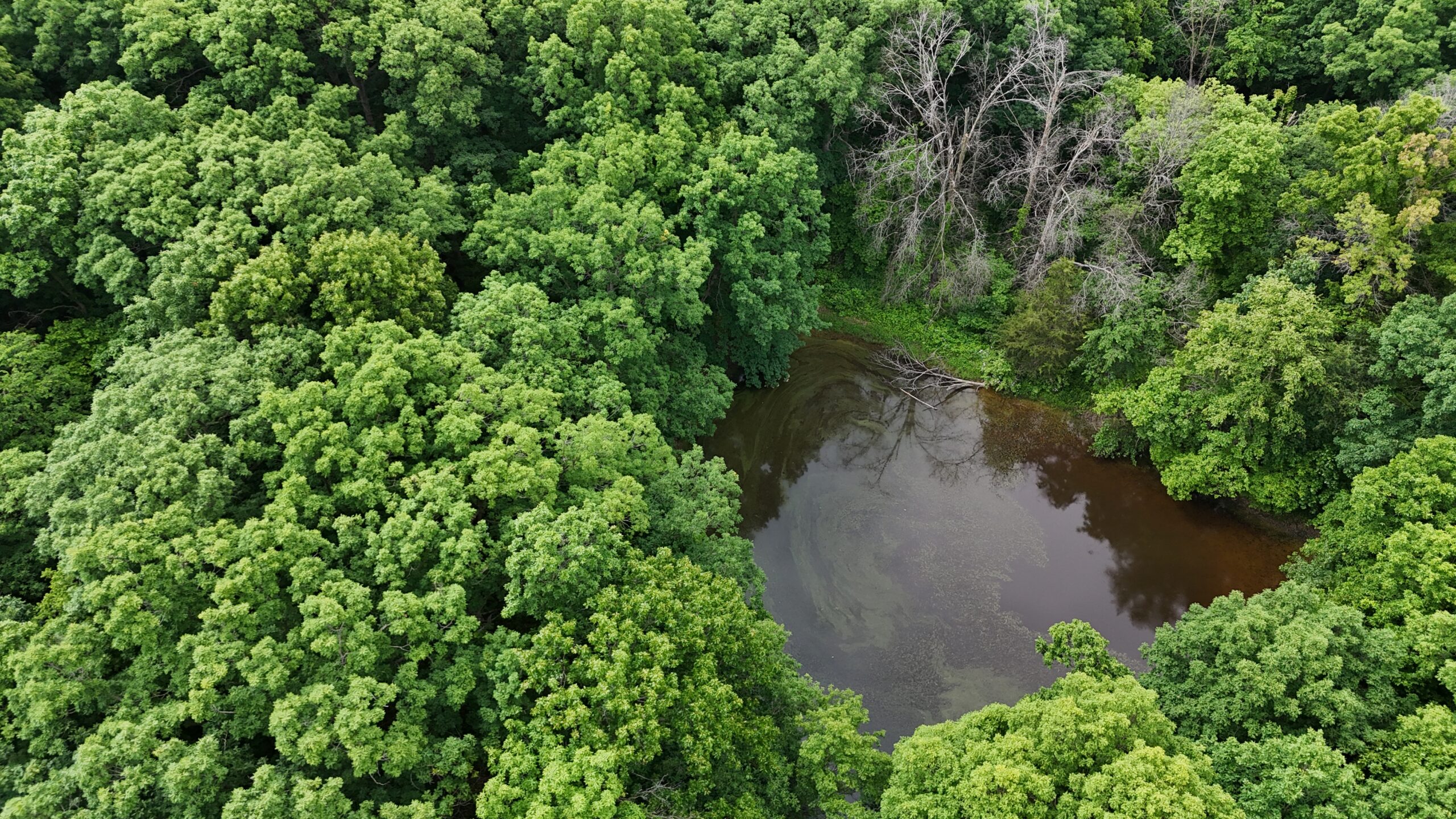 Outstanding Hunting Property in Northwest Knox County, MO